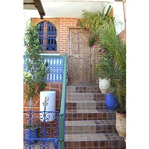 Wink Marrakesh